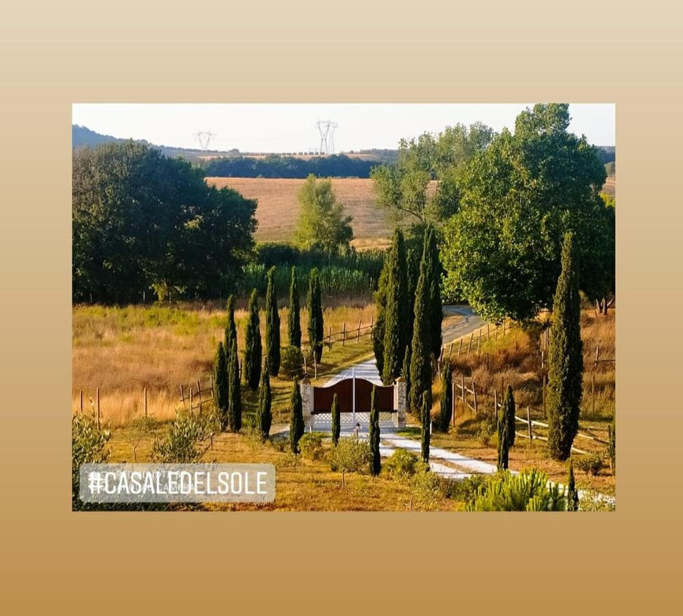 Bed And Breakfast Casale Del Sole Castellina Marittima Exterior foto