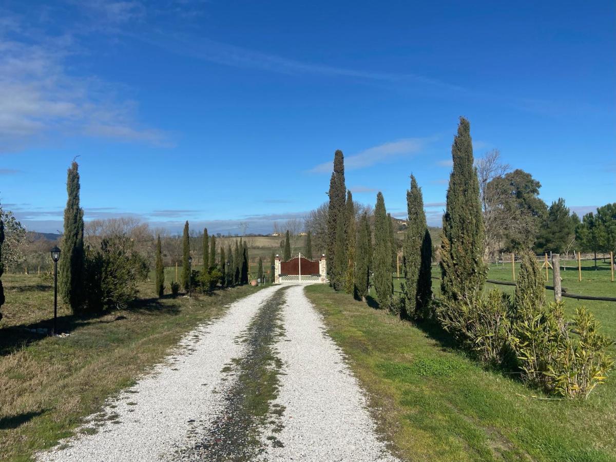 Bed And Breakfast Casale Del Sole Castellina Marittima Exterior foto