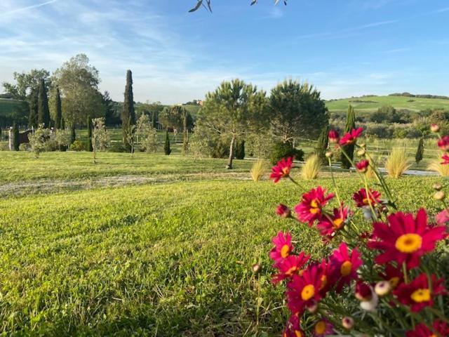Bed And Breakfast Casale Del Sole Castellina Marittima Exterior foto